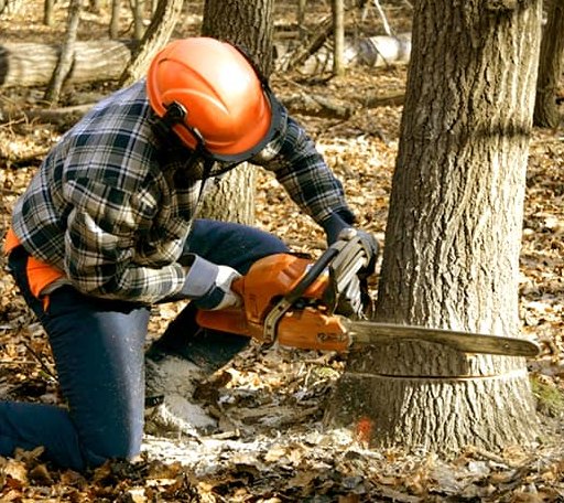 Tree Removal in Russell, IL